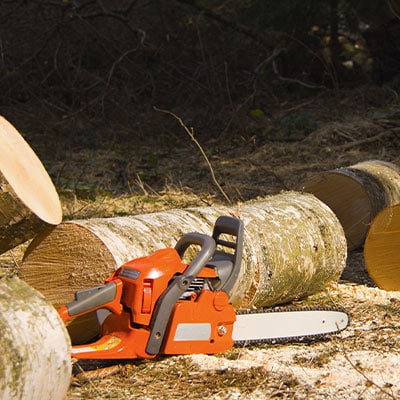 Tree Removal